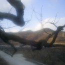 영태농장 이미지