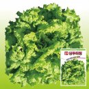 하청농장 이미지