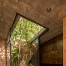 소통하는 나무 이미지