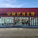 빛과전기조명
