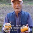 복연농장 네이버블로그