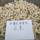 조양무역 Daum카페