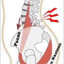 팀터틀랫 중부점 이미지