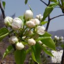 문배농장 이미지