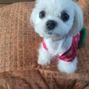 나랑놀개 이미지