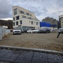 캐럿틴트