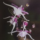 삼지목장 이미지