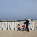 영진2농장 이미지