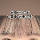 스튜디오썸머브로우