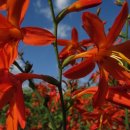 새봄농장(2) 이미지