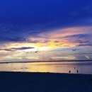 서윤의숲길 이미지