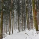 축령산 산소길(1구간) 이미지