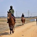 소금뱃길 이미지