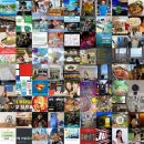 세븐충주모아미래도점 | 인기 블로그 포스팅 모음: 매일 상위 랭크의 인기 블로그 게시글 모아! (2025.07.11 19:16)