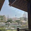 달강이네 이미지