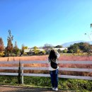 농촌목장 | 청주 농촌 체험 여행 치즈 만들기 다래목장 아이랑 가볼 만한 곳 추천