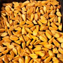 감말랭이 만들어요 이미지