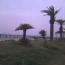 노세노세PC 이미지