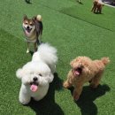 멍데이 유치원 이미지
