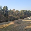 수성최씨시조묘 이미지