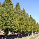 월산마을 진입로 이미지