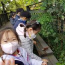 선한유치원 이미지