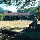 연포상회