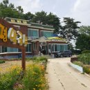 메밀촌 봉평막국수