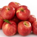 제일식품 이미지