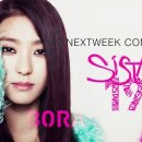 씨스타19 카카오 검색결과