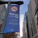 너구리굴 이미지