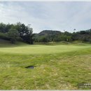 여름밤 추천 3부 야간 라운딩 엠스클럽 의성 cc 골프 라운딩 후기
