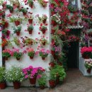 사람사는 집 이미지