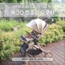 에그Q 절충형 유모차 한여름에도 쾌적했던 여름 외출 후기