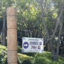 194-1-000017 | 울산여행 5월 가볼만한곳, 장생포 라벤더 뜰 만개 소식! 인생샷 명소 추천