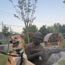 나들라온 | 경기 일산 자유로막국수 내돈내산 먹방후기