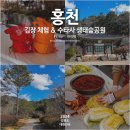 바회마을 | 강원도 홍천 여행코스 공작산 수타사 , 생태숲공원, 농촌테마공원, 바회마을 김장 체험 후기