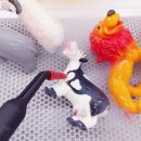 서래초교병설 이미지