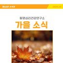 동명심리건강연구소 2024년 10월 가을 소식지 이미지