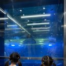 해양치유시티투어 이미지