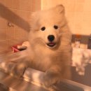 그루밍공화국 이미지