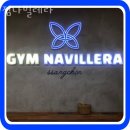 짐나빌레라 이미지