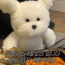 진켈란젤로