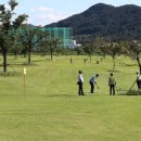 가곡체육공원 축구장 이미지