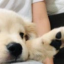 성수