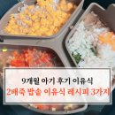 죽 제 | 9개월 아기 후기 이유식 2배죽 밥솥 이유식 레시피 3가지