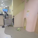 다람쥐키즈치과의원 | 원주 키즈치과 추천 기업도시 다람쥐키즈치과 (feat 30개월 불소도포)