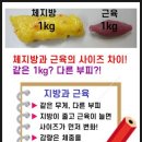 고덕파워점프