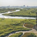 갯골생태공원 이미지