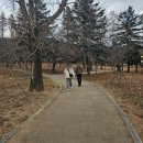 스테이 서린 | [경주] 불국사 - 경주 수학여행 필수 코스! 이번엔 가족과 함께 즐기는 불국사 여행
